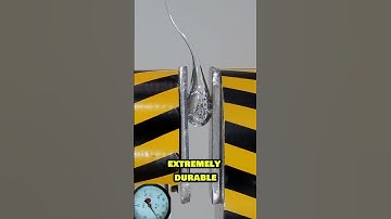 Exploring the Prince Rupert