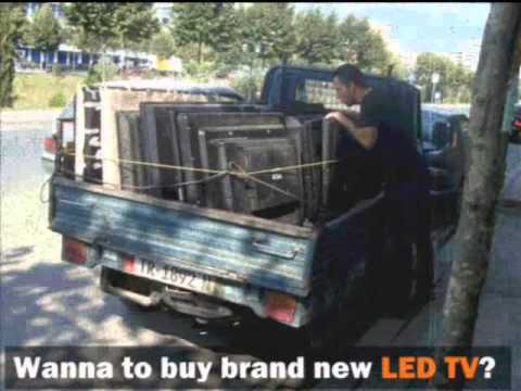 RUSSIA & ALBANIA FUNNY 2013 - See unseen - VIDEO with wild