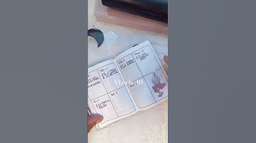 Sterling Ink Passport Notebook Flip Through