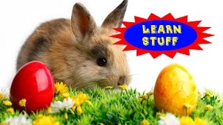 Learn Stuff Ep. 2 - Why Does Easter Always Change Dates?
