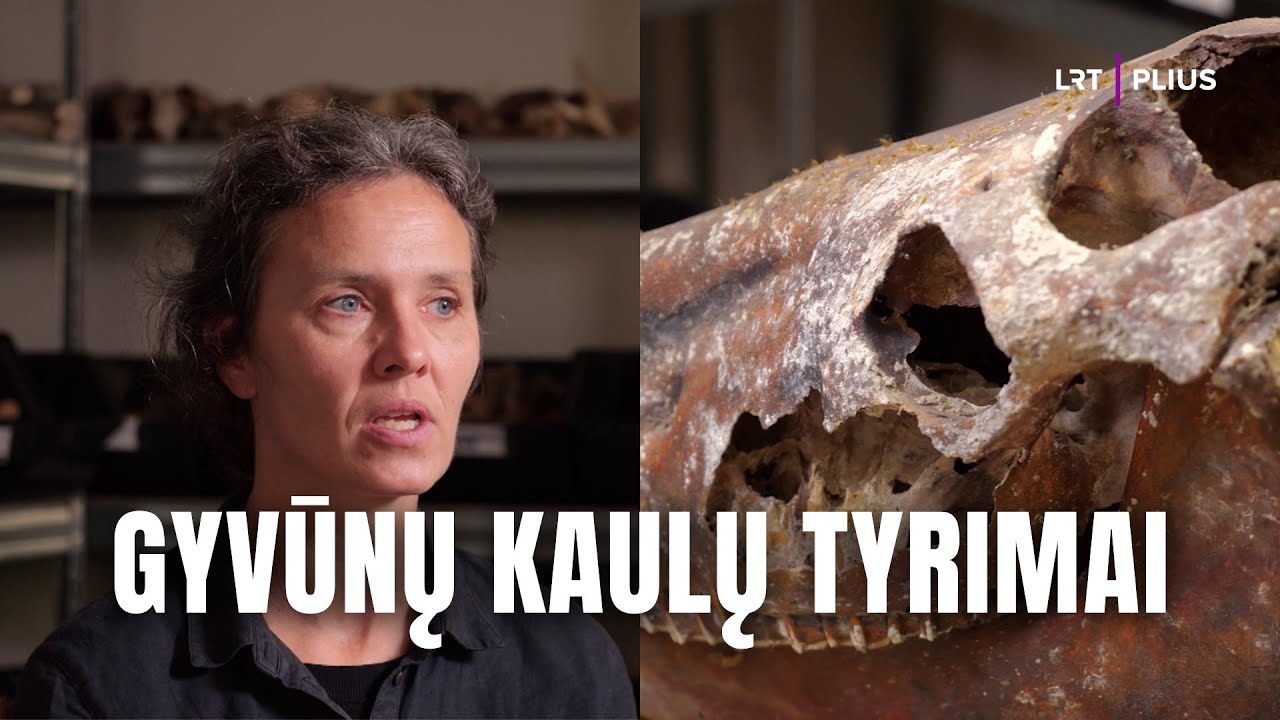 Archeologijos detektyvai. Kodėl archeologai tiria gyvūnų kaulus? Pasakoja dr. Giedrė Piličiauskienė