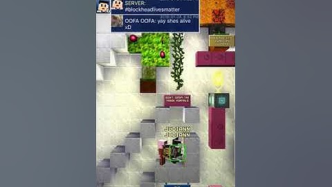 People keep killing me in the blockheads