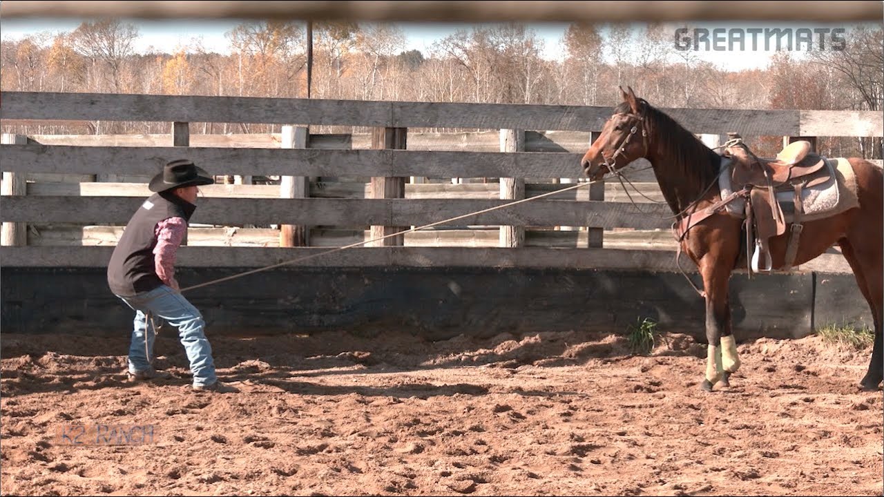 Desensitizing a Horse with a Lariat Jesse Krier Greatmats Horse