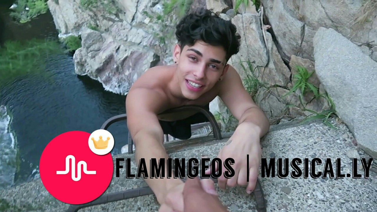 Flamingeos | Tiktok Compilation