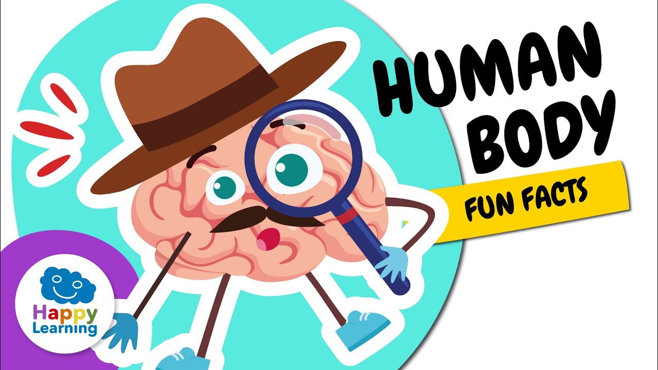 🧠👁️ Amazing Facts About the Human Body | Educational Videos for Children | @HappyLearningENG