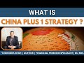 What is china plus 1 strategy 