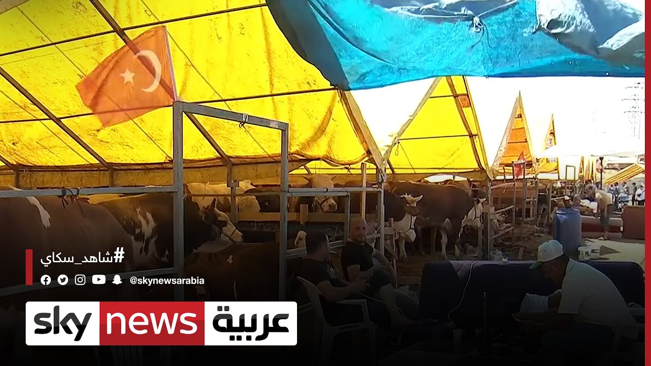 إقبال على سوق الأضاحي في تركيا رغم ارتفاع أسعارها | #مراسلو_سكاي | #سكاي_تركيا