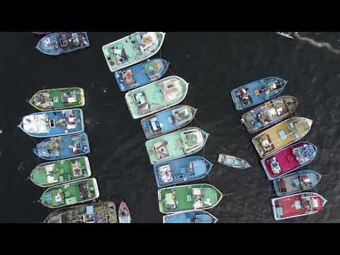 Ma ville- Final project (French Course )