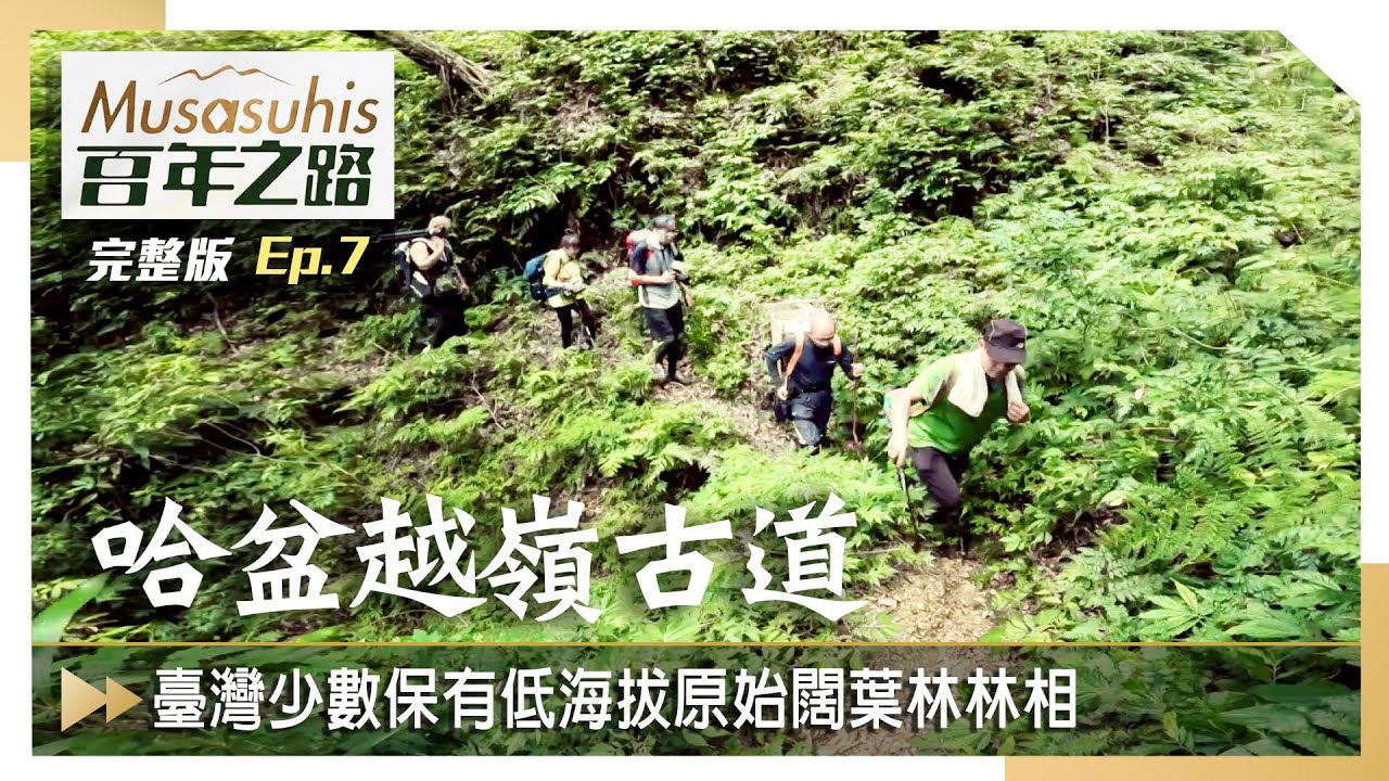 #Musasuhis百年之路