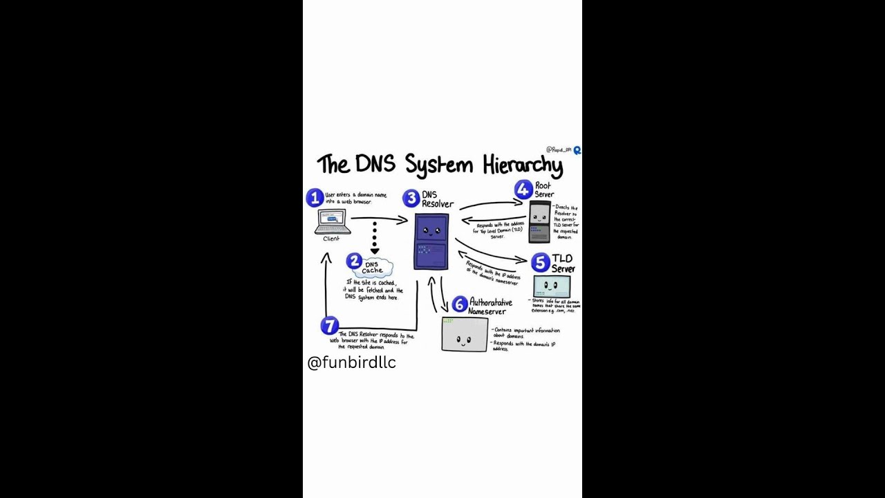 The DNS System Hierarchy 🌐🔗