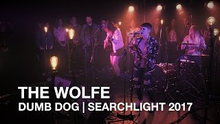 Video thumbnail of "The Wolfe | Dumb Dog | Searchlight 2017"