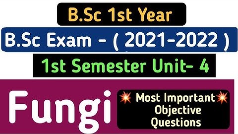 Most Important MCQ on Fungi/BSc 1st Year 1st Semester Fungi Objective Questions/MCQ on Fungi for BSc