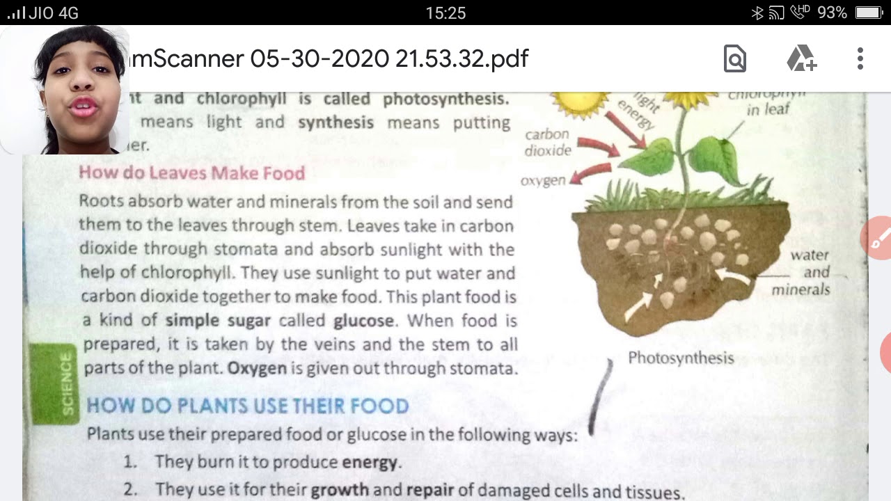 Ch1 science plants make food part2 YouTube