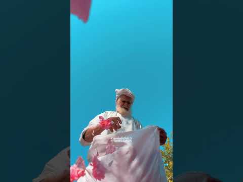 قطف ورد الجبل الأخضر 