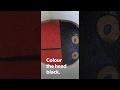How to make a Ladybird rock.