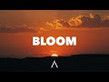 Lucas Estrada TWOPILOTS Bloom Lyrics ERIICE Remix mp3