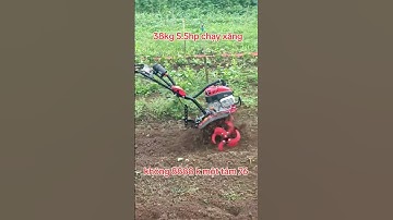 Máy xới đất 5.5hp np165 38kg làm vườn.#mayxoidat #lamvuon #trongrau #tienlinh #ahm #trauvang #xoidat