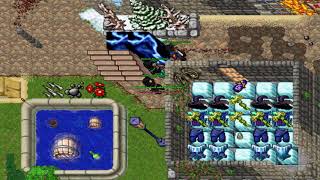 Tibia 8.60::WAR Forest On Baiak Ilusion Part 6
