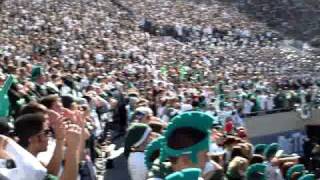 Michigan State Football - Go Green, Go White