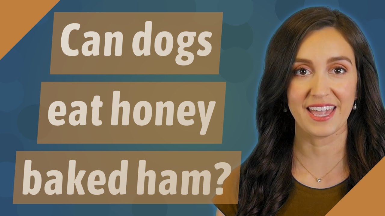 Can dogs eat honey baked ham?