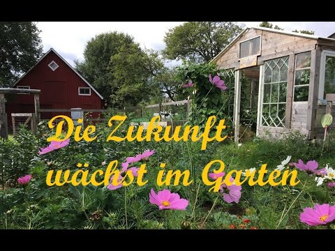Wer einen Garten hat, glaubt an die Zukunft YouTube