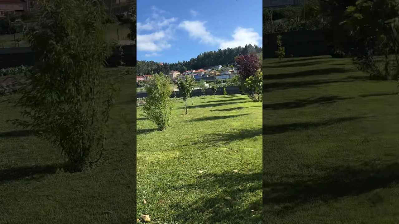 Visita a una aldea gallega