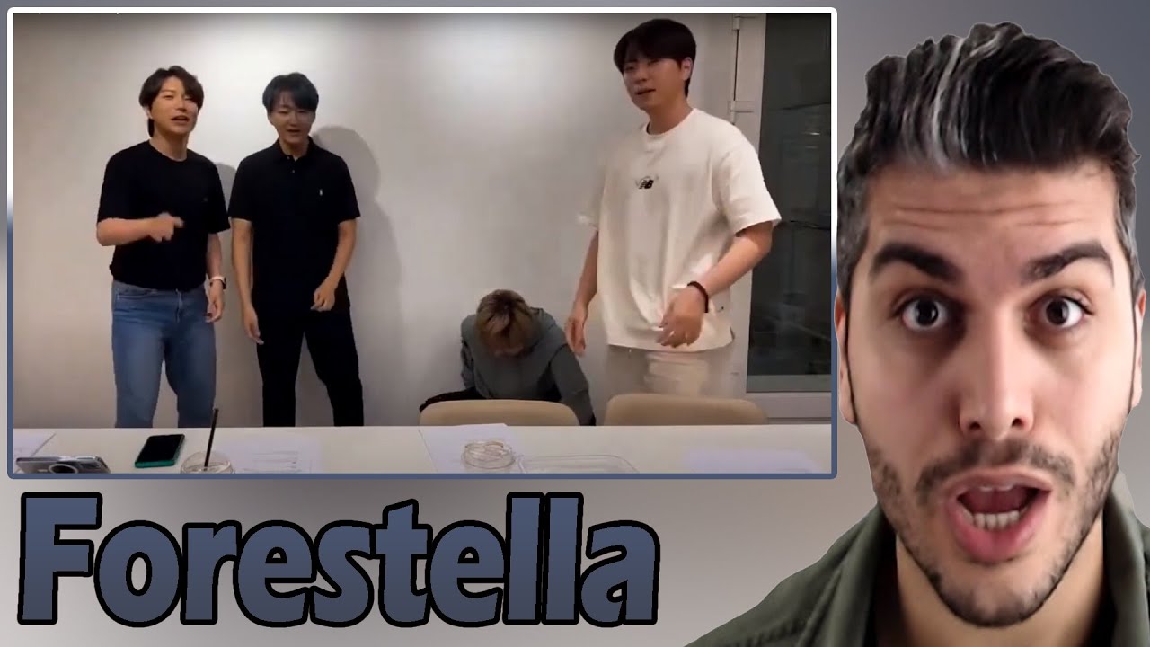 [ENG SUB] Forestella (포레스텔라) - Shape Of You - FUNNY Version REACTION | TEPKİ