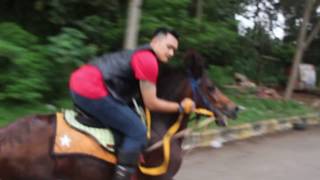 BALAPAN KUDA DI JALANAN ??? - Boyo horses - eps 1 - HD BALAPAN KUDA DI JALANAN ??? - Boyo horses - eps 1 - HD