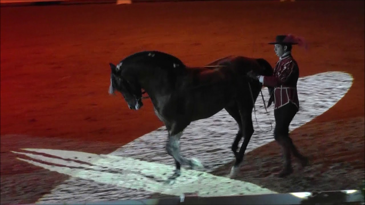 Andalúz fiesta 2017 - Riendas largas