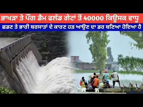 ਭਾਖੜਾ ਤੇ ਪੌਂਗ ਡੈਮ ਫਲੱਡ ਗੇਟਾਂ ਤੋਂ 40000 ਕਿਊਸਕ ਵਾਧੂ ਛਡਣ ਤੇ ਭਾਰੀ ਬਰਸਾਤਾਂ ਦੇ ਕਾਰਣ ਹੜ ਆਉਣ ਦਾ ਡਰ ਬਣਿਆ ਹੋ
