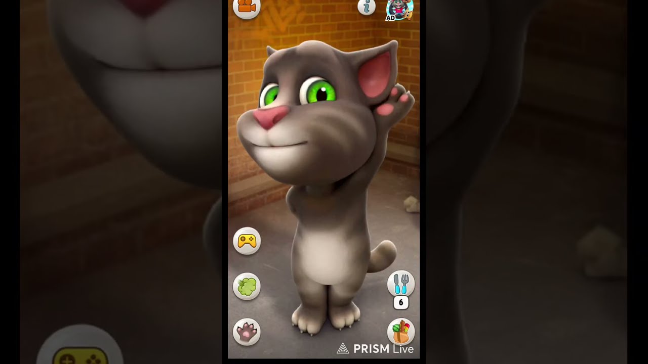 talking tom game
