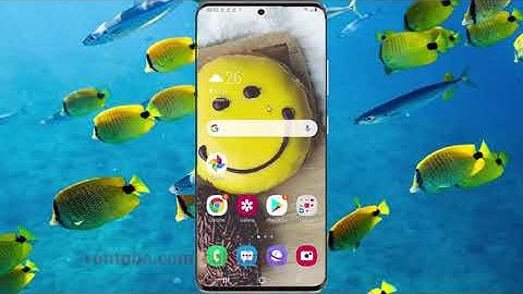 Samsung Galaxy S20 : How to delete browsing Cookies and site data in Samsung Internet (Android 10)