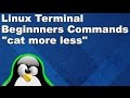 Linux Terminal for Beginners Commands 4: cat, more, and less