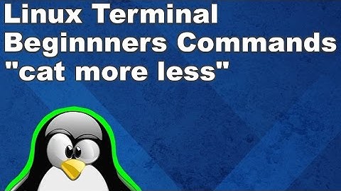 Linux Terminal for Beginners Commands 4: cat, more, and less