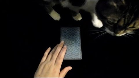 Wat heeft Poetin met Trump te maken?