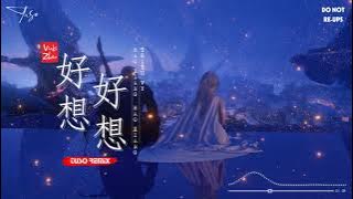Vicky Zhao - Haoxiang Haoxiang - TuSo Remix (赵薇 - 好想好想)