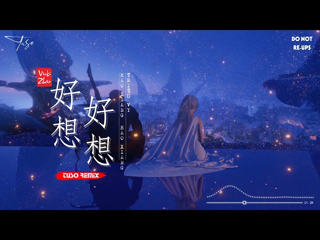 Vicky Zhao - Haoxiang Haoxiang - TuSo Remix (赵薇 - 好想好想) class=