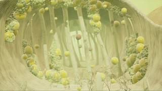 MICRO COSMIC WORLDS: Extended Trailer