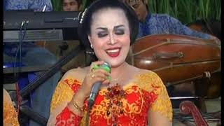 Download Lagu AYAK AYAK PAMBUKO,CS DEWANDA MP3