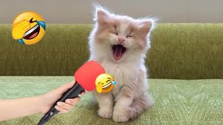 😘😂 Best Cats and Dogs Videos 🤣🐱 Funniest Animals 2024 #14