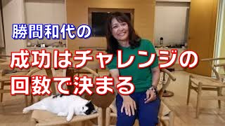成功はチャレンジの回数で決まる。高いお金を払えば人が教えてくれると思うのは虫が良すぎる。