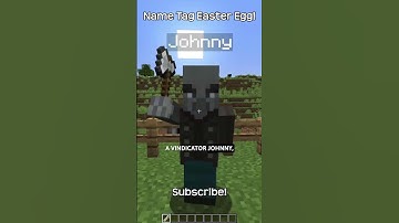 Do Not!!! Name A Vindicator Johnny In Minecraft!