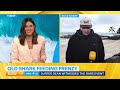 Sharks have feeding frenzy at Queensland beach | Today Show Australia