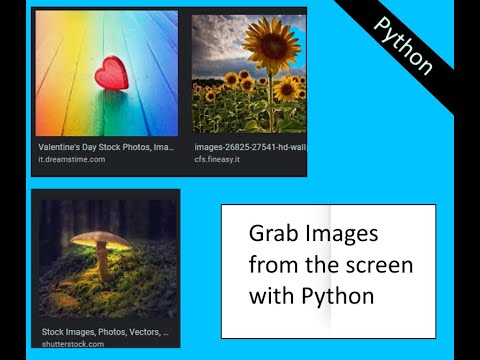 How to grab images from the screen with python
