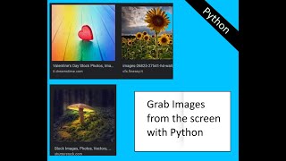 How to grab images from the screen with python