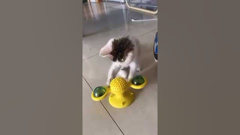 Interactive Windmill Teasing Cat Toy with Flash Lights Catnip Balls Video
