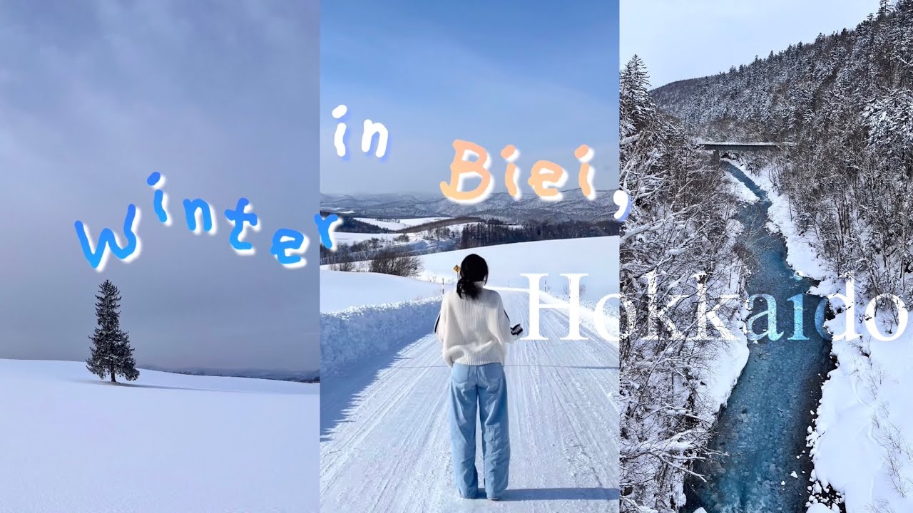 삿포로 직장인 브이로그 ㅣ 혼자 떠나는 당일치기 비에이 여행 🌲❄️🐾