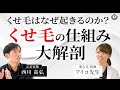 【天然パーマ】くせ毛でお悩みの方へ。くせ毛の仕組みを徹底解説します。【うねり毛】