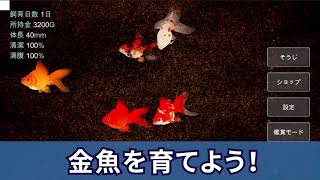 金魚育成アプリ「ポケット金魚」 screenshot 5