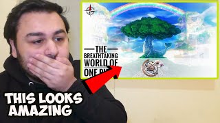 Non Anime Fan Reacts To The Breathtaking World Of One Piece